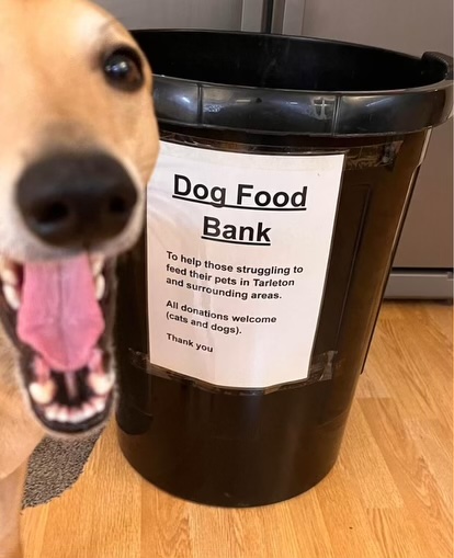 biscuit (dog) looking at Julie's dog food bank